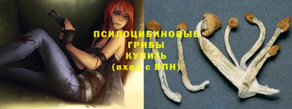spice Мегион