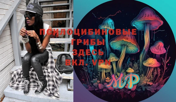 spice Мегион